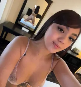 frenchiesfrenchbulldogsk9